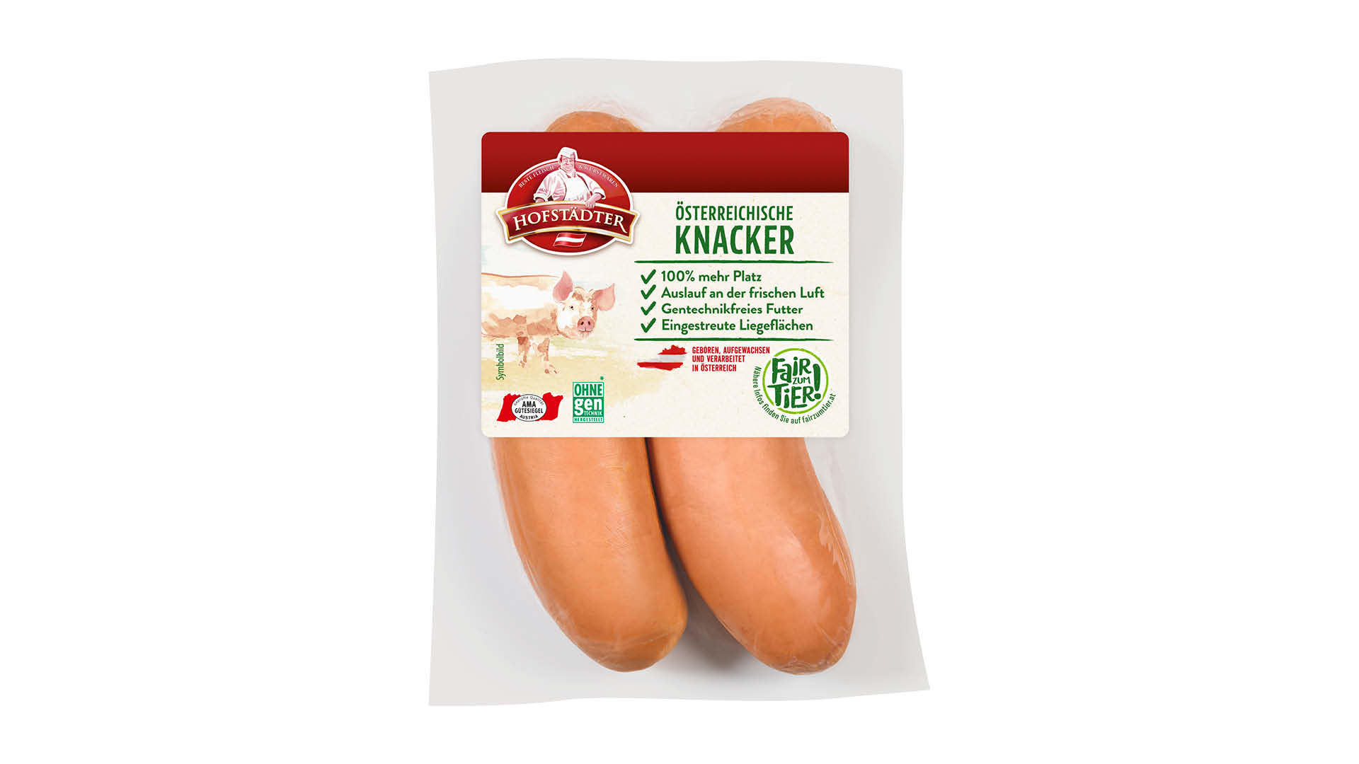 Hofstädter FzT Knacker